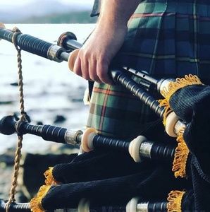 Meet your Posher, Pauline